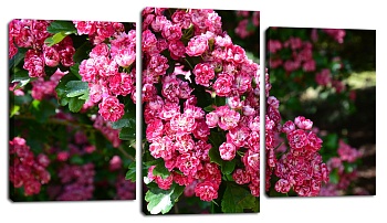 70х105 Картина 'Модуль' из 3 частей, 70*105